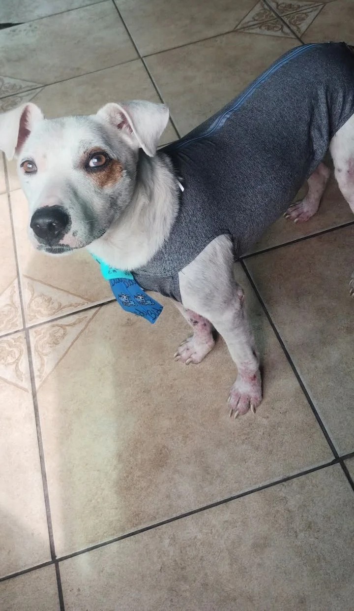 Theo depois do resgate